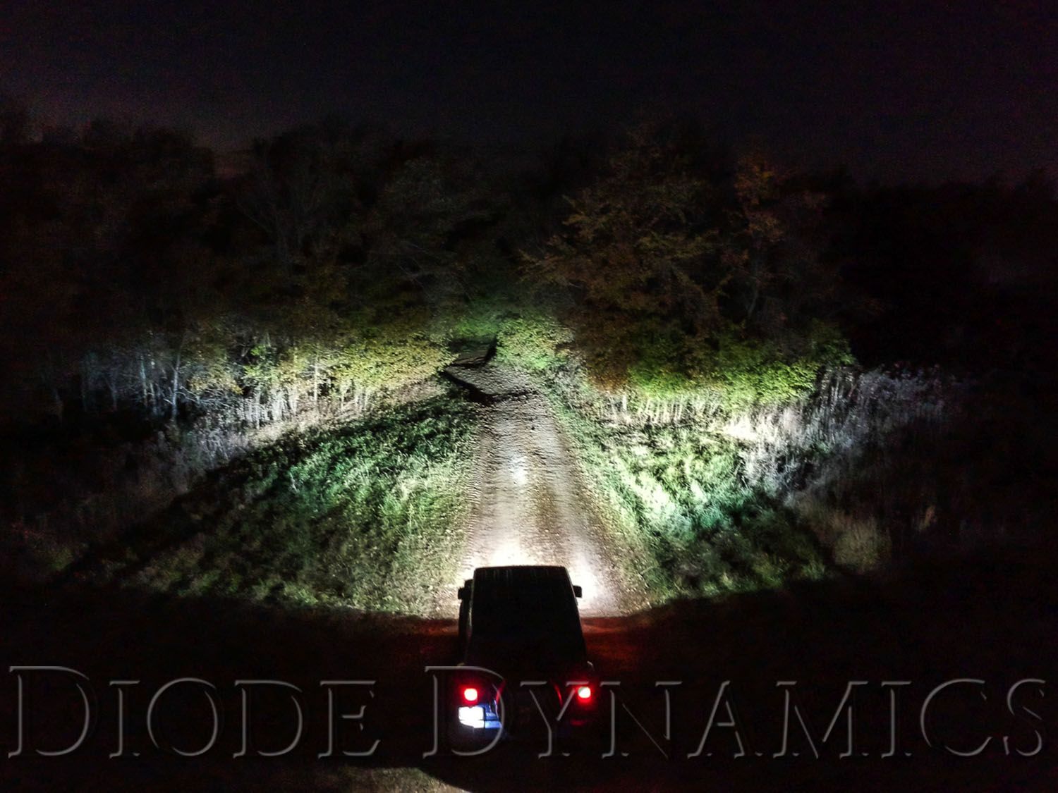 Diode Dynamics SS3 Max White SAE Fog Round (زوج) 5