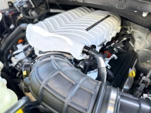Whipple Super Charger Ford F-150 Raptor “R” 3.8L Upgrade Kit 2023+ 5